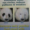 Jay Voigt - @Jfire603 - Twitter