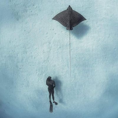 marce_pd82's profile picture. 