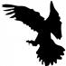 Grand Fish/Lab (@grandfishlab) Twitter profile photo Grand Fish/Lab (@grandfishlab) Twitter profile photo