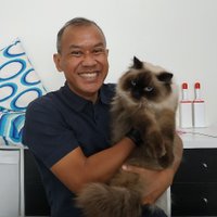 willy priyoko (@willypriyoko) 's Twitter Profile