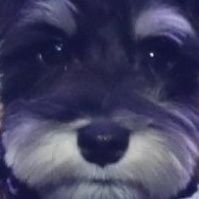 bestwinkever (@bestwinkever) 's Twitter Profile