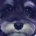 bestwinkever (@bestwinkever) Twitter profile photo bestwinkever (@bestwinkever) Twitter profile photo