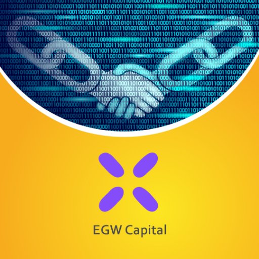 #egwcapital is the #blockchain #investmentbank helping companies to conduct #crypto offerings like #ico and #tokenization. $egw is proposing #preico sale.