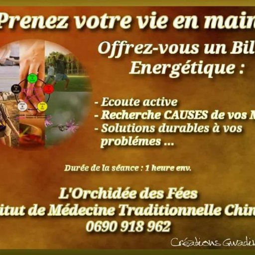 Coach & Énergéticienne  0690918962 #CoachdeVie #MedecineChinoise #Fleursdebach #Positivité #Ateliers