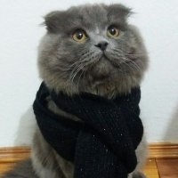 Rüyalar (@ufugun_cizgisi) Twitter profile photo