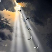 يحيى آل يحيى (@sswwaae88) 's Twitter Profile
