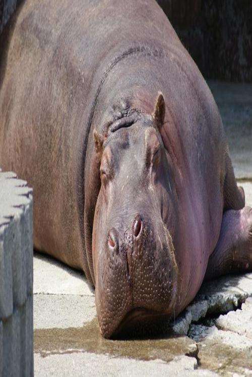 遊戯王とワールドオブウォークラフト中心