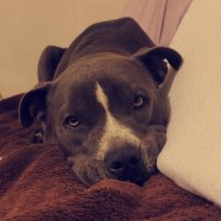 Cortez (@cosmic_wave_) 's Twitter Profile