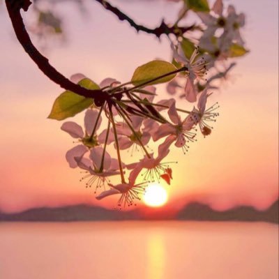 vbhs16's profile picture. 