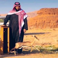 ❤️🇸🇦❤️ (@aabadi596) 's Twitter Profile