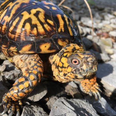 heathbisawesome's profile picture. 2028 presidential candidate.