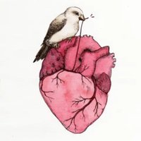 Ел æ на (@ecisis) 's Twitter Profile