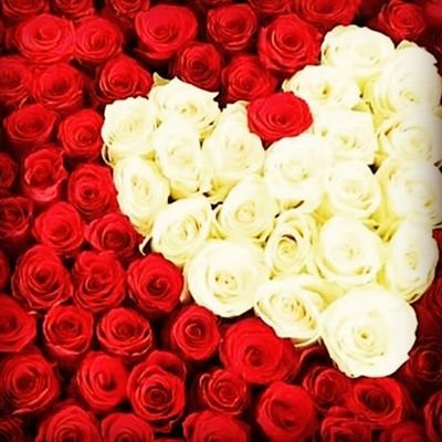 Fun funny wantz The best girl ever adventur I like to wrestle the real kind not wwe