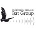 NI Bat Group (@GroupBat) Twitter profile photo