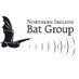 NI Bat Group (@groupbat) Twitter profile photo NI Bat Group (@groupbat) Twitter profile photo
