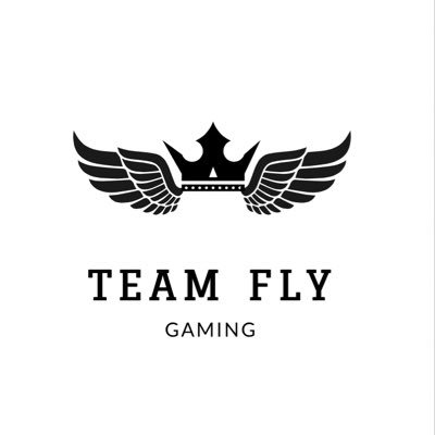 Equipo competitivo de fifa. Buscamos gente para que se una a nuestro equipo para los próximos torneos. Hablarnos por MD!