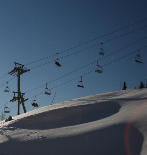 snowtirol's profile picture. 