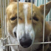 nicholai nissen ๐ฆ (@nicholainissen) 's Twitter Profile
