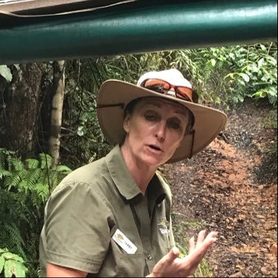 tongfengalex's profile picture. 