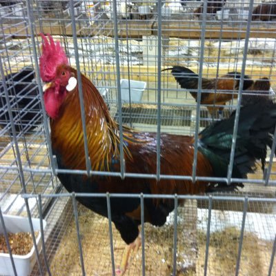 DadinJax's profile picture. Debits and credits by day.  Just trying to survive the rest of the time.  Lover of pop music.  Trying to find peace rather than just being numb.