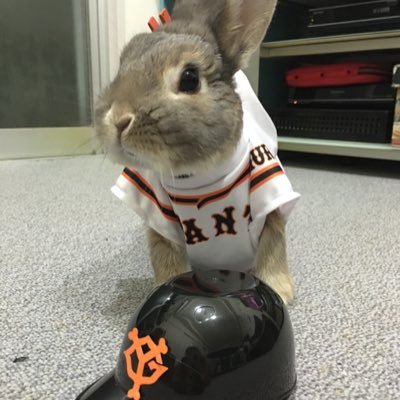 うさぎの野望