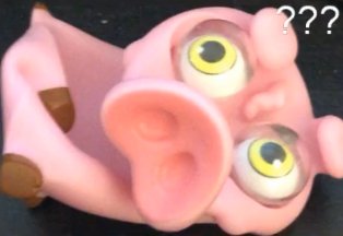 lepauvrecochon's profile picture. Gruik Gruik