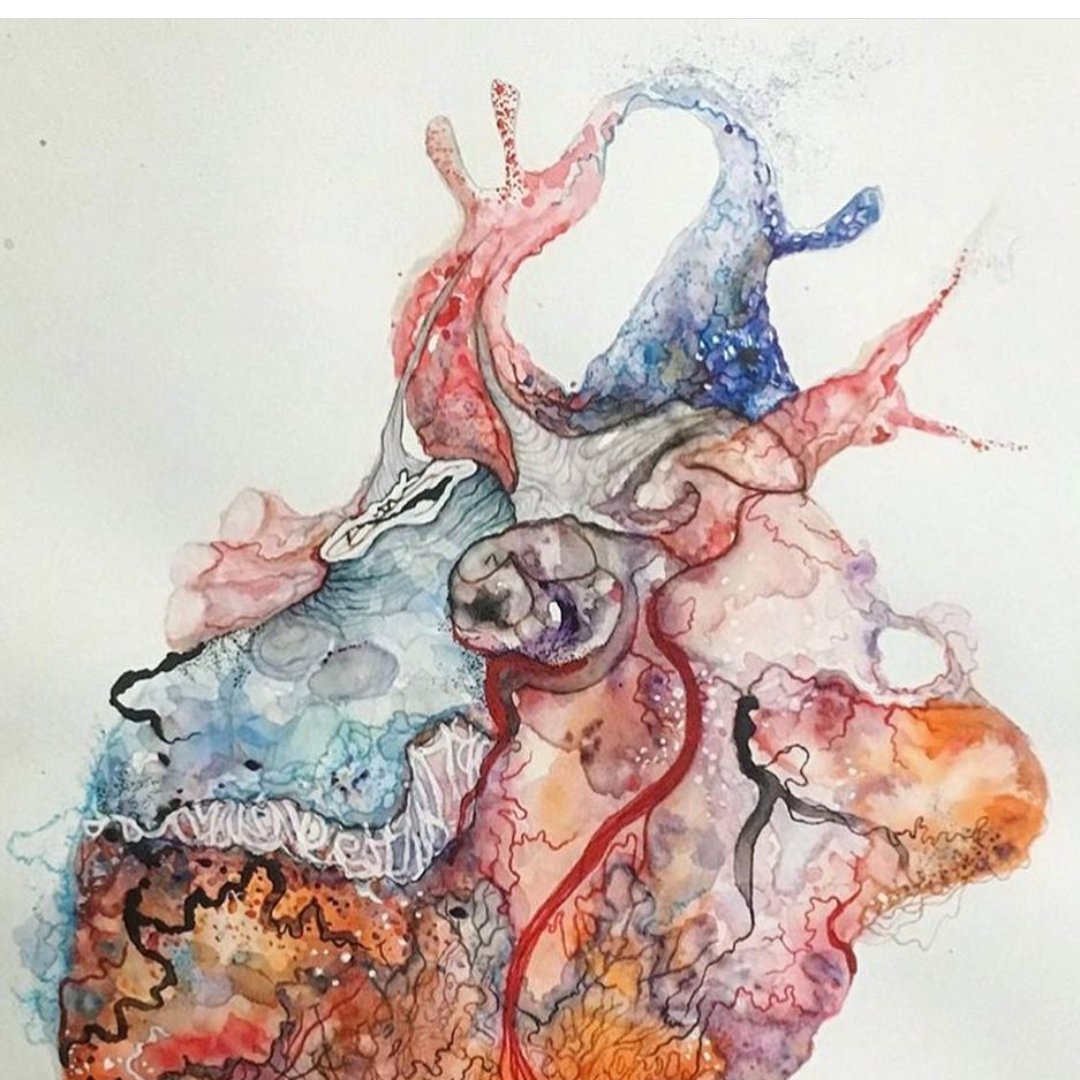 kreinnjj's profile picture. 