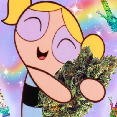 BakedLog's profile picture. thoughts when I'm baked. insightful content only. only posts when toast. #baked #weed #canniblessed #AirBudWantsToKnow