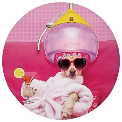 think_dumb's profile picture. swag thoughts that i think but can't say out loud