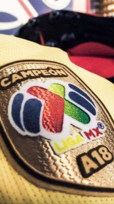 Alberto59186911's profile picture. me gustan los animales, amo la libertad,me encanta soñar y ver cómo se realizan cada uno de ellos