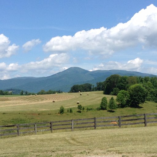 Die-hard Conservative, Christian, Wife, Mom, Virginia is in my blood. Focused on the integrity of our elections and solid conservative candidates for office.