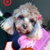 Victoria (@victori08024971) Twitter profile photo Victoria (@victori08024971) Twitter profile photo