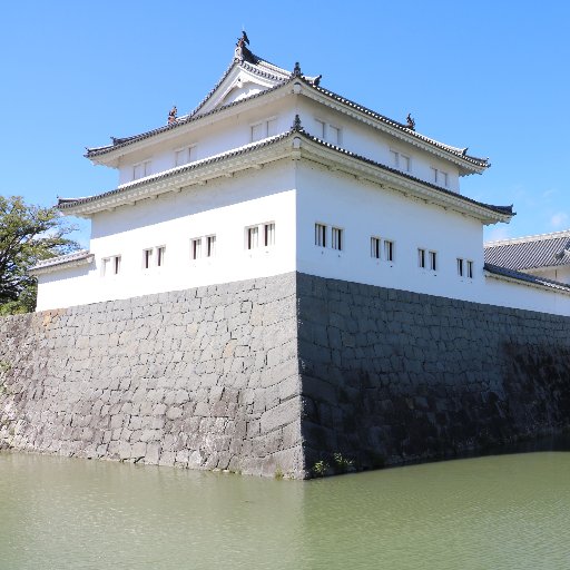 静岡大学名誉教授。専門は日本史で、戦国期から近世(江戸時代)、内容は主に「東海地域史」と「徳川家康」の研究です。
一般向けの著書に、新刊の『徳川家康の決断』をはじめ、『定本徳川家康』『徳川家康と関ヶ原の戦い』『徳川家康と武田氏』(吉川弘文館)で「家康4部作」。
その他「近世東海道」や「大谷探検隊」関連など。