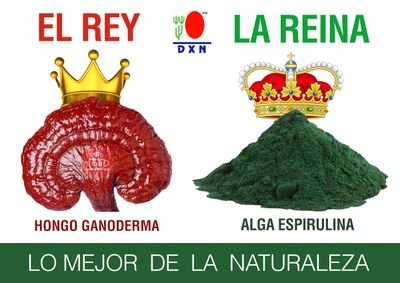 Ganosalud