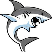 TheSharkPicks's profile picture. FREE Professional Football tipster with high & profitable Hit Rates. Only for WINNERS not for LOSERS. DM me for special premium VIP tips. 🦈💀