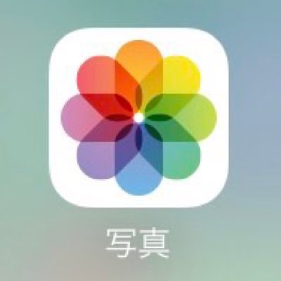 D8Kmdc's profile picture. 見る専