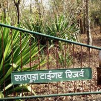 Satpura Tiger Reserve (@satpurar) 's Twitter Profile