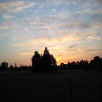adepthus (@adepthus) 's Twitter Profile