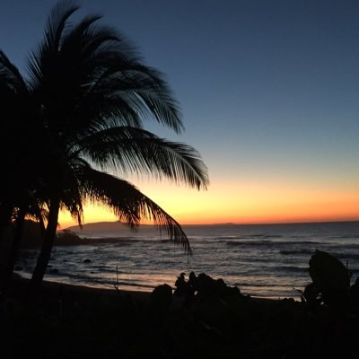 ntcoral's profile picture. 🇨🇴