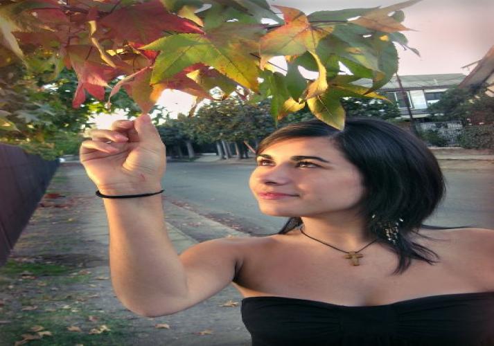 javaxDfigueroa's profile picture. 