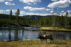 http://t.co/L3UUB1YMFj is grt place to learn more about Great Falls, MT & find local biz for everyday needs and check out the latest events.