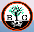 We're central and western Virginia's tree specialists emphasizing tree health and care.