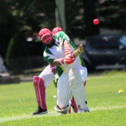 Proud Dad, cricket tragic, shocking golfer and an avid lawn bowler.