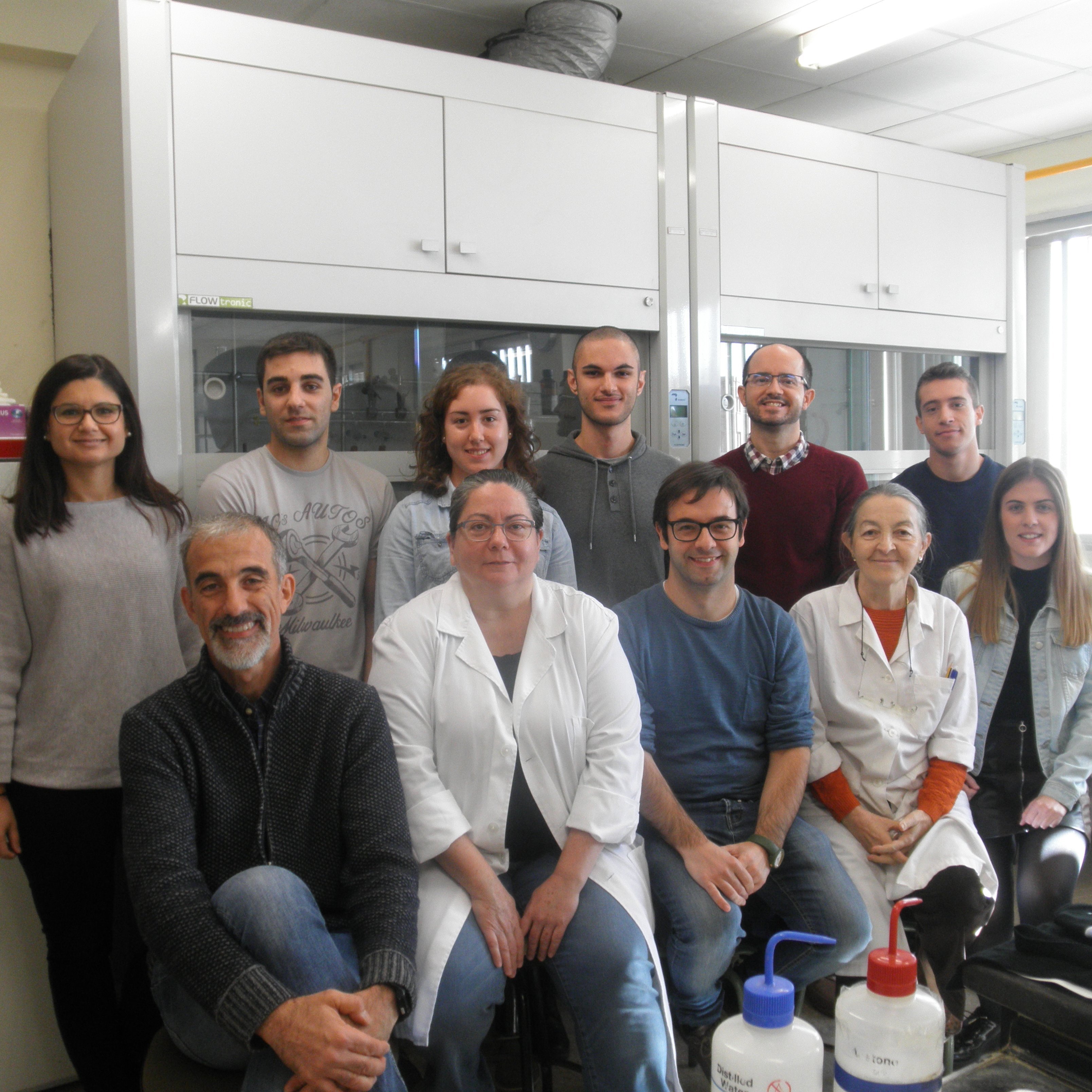 Organometallic chemistry group at the University of Murcia. Homogeneous catalysis, photochemistry and organometallic synthesis.