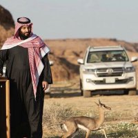 ابو محمد (@zzaass812) 's Twitter Profile