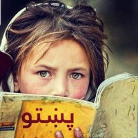 Hamid Salman (@hamidsalman16) 's Twitter Profile