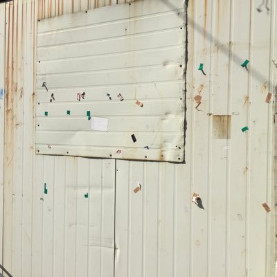 happiecreepie's profile picture. 