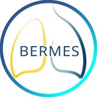 Bermes Project (@bermesproject) 's Twitter Profile