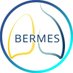 Bermes Project (@bermesproject) Twitter profile photo