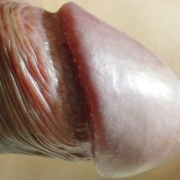 yilete's profile picture. Sexo casual, sin compromiso, San Pedro Sula.